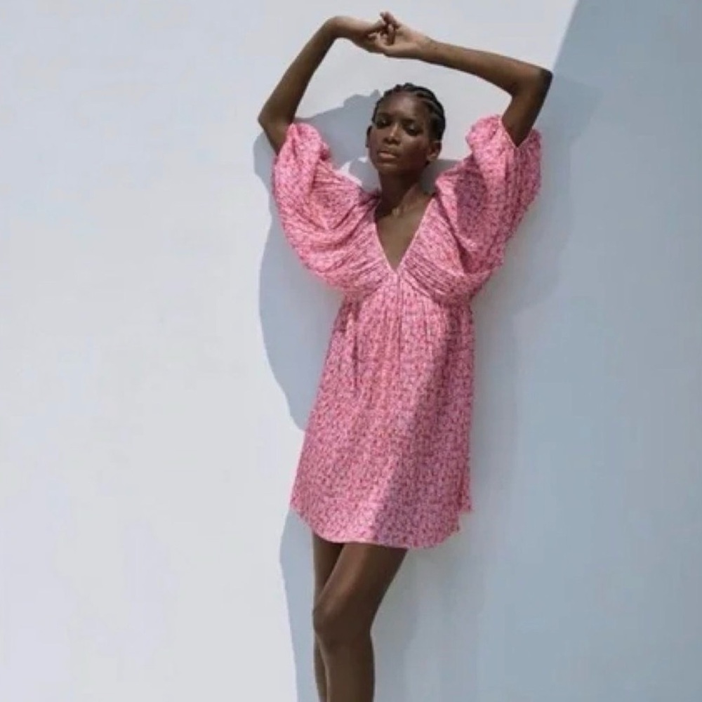 Zara Pink Floral Pleated Mini Dress
- Size Small